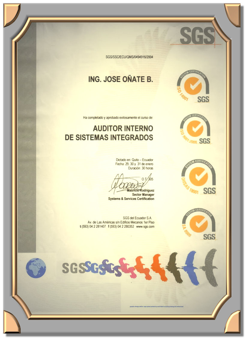 Auditor interno de sistemas integrados de Gestion ISO